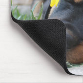 Rottweiler Muismat (Hoek)