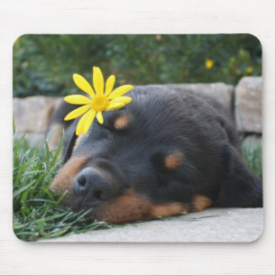 Rottweiler Muismat