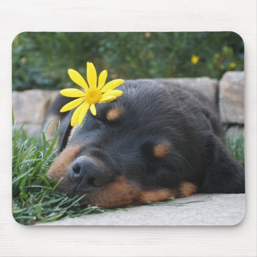 Rottweiler Muismat (Voorkant)