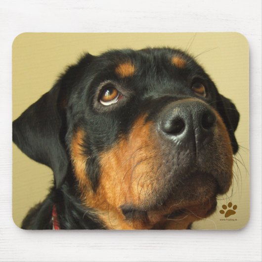 Rottweiler Muismat (Voorkant)
