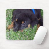 rottweiler. muismat (Met muis)