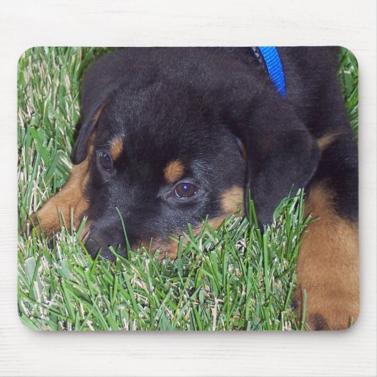 rottweiler. muismat (Voorkant)