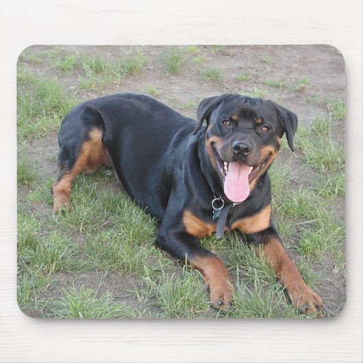 Rottweiler Muismat (Voorkant)