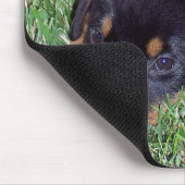 rottweiler. muismat (Hoek)