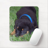 rottweiler. muismat (Met muis)