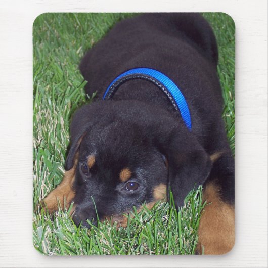 rottweiler. muismat (Voorkant)
