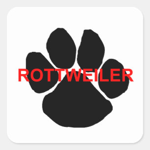 rottweiler-naamvenster vierkante sticker