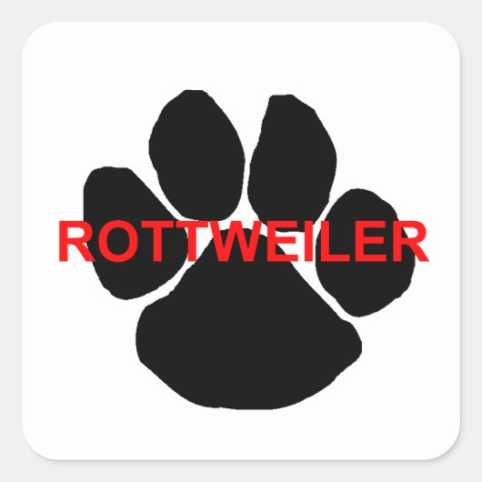 rottweiler-naamvenster vierkante sticker (Voorkant)