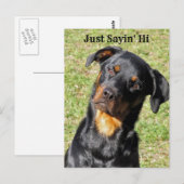 Rottweiler Net Sayin' Hi Briefkaart (Voorkant / Achterkant)