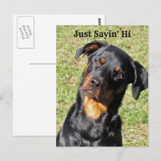 Rottweiler Net Sayin' Hi Briefkaart (Voorkant / Achterkant)