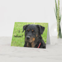 Rottweiler niet gebruiken voor put card