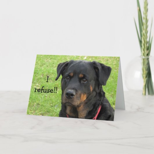 Rottweiler niet gebruiken voor put card kaart (Voorkant)