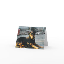 Rottweiler Note Kaart - leeg