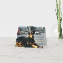 Rottweiler Note Kaart - leeg