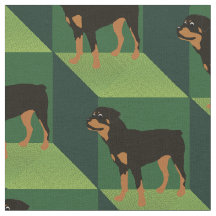 Rottweiler op groene kubussen