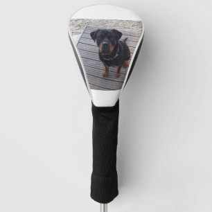 rottweiler op het strand golfheadcover
