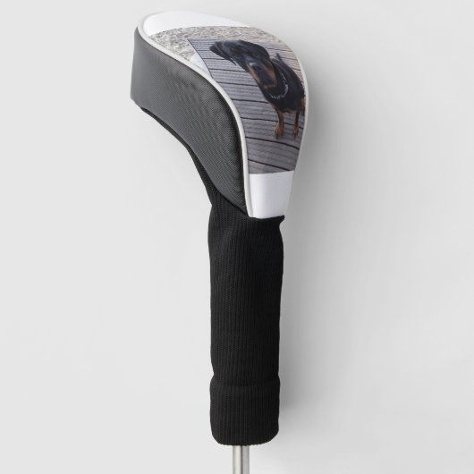 rottweiler op strand golfheadcover (Schuin)