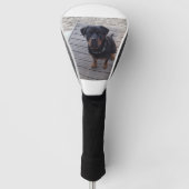 rottweiler op strand golfheadcover (Voorkant)