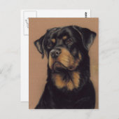 Rottweiler Origineel Briefkaart (Voorkant / Achterkant)