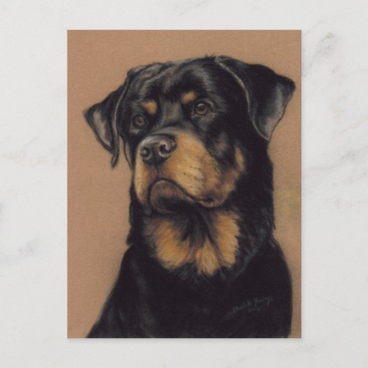 Rottweiler Origineel Briefkaart (Voorkant)