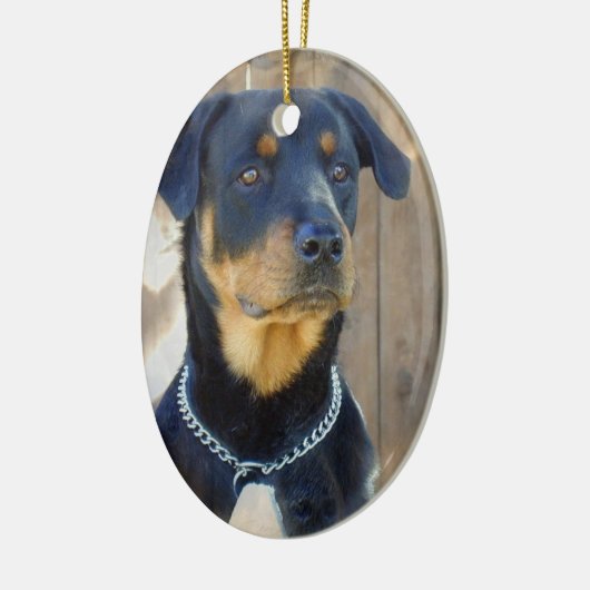 Rottweiler Ornament (Links)