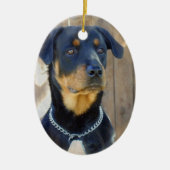 Rottweiler Ornament (Voorkant)