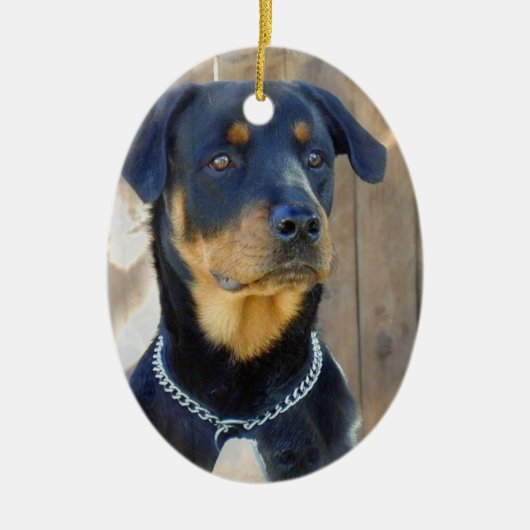 Rottweiler Ornament (Voorkant)