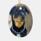 Rottweiler Ornament (Achterkant)