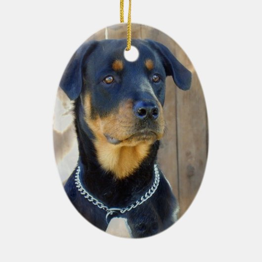 Rottweiler Ornament (Achterkant)