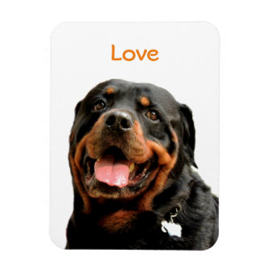 Rottweiler Photo Magnet Magneet