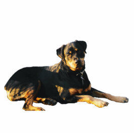 Rottweiler Photo Sculpture Magnet Fotobeeldje Magneet