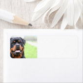 Rottweiler.png Etiket (Insitu)