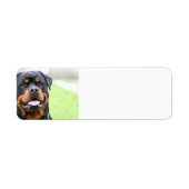 Rottweiler.png Etiket (Voorkant)