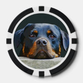 Rottweiler Poker Chips (Voorkant)