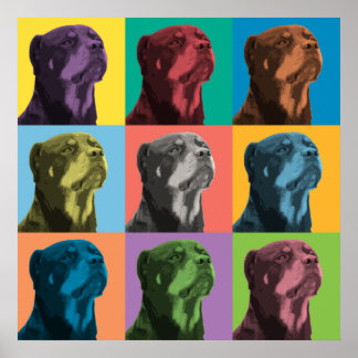 Rottweiler-Pop Poster