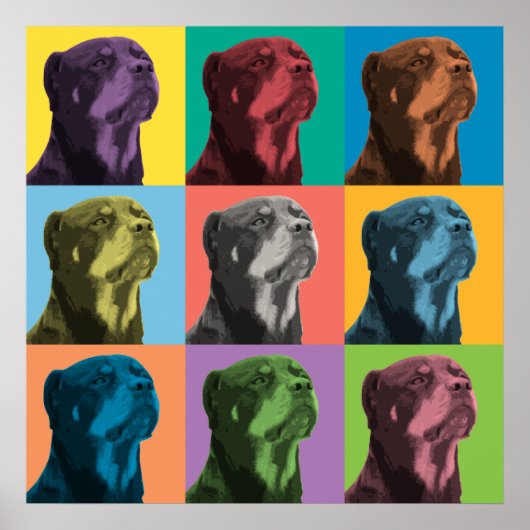 Rottweiler-Pop Poster (Voorkant)