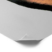 Rottweiler Poster (Hoek)