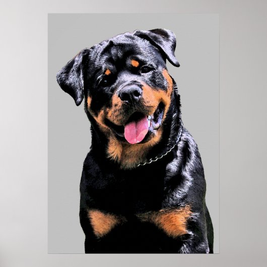 Rottweiler Poster (Voorkant)
