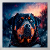 Rottweiler Poster (Voorkant)