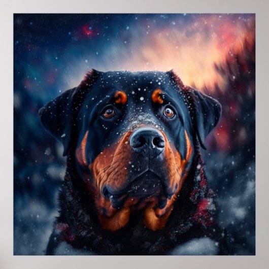 Rottweiler Poster (Voorkant)