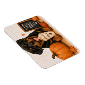 Rottweiler Pumpkin Spice Magneet (Rechterzijde)