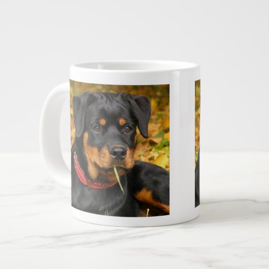 Rottweiler Pup Lying On The Ground In Forest Grote Koffiekop (Links)