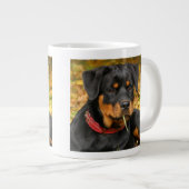 Rottweiler Pup Lying On The Ground In Forest Grote Koffiekop (Voorkant rechts)