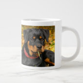 Rottweiler Pup Lying On The Ground In Forest Grote Koffiekop (Rechts)