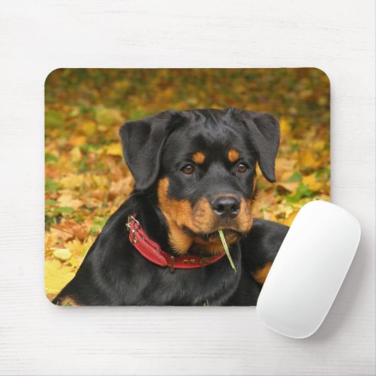 Rottweiler Pup Lying On The Ground In Forest Muismat (Met muis)