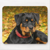 Rottweiler Pup Lying On The Ground In Forest Muismat (Voorkant)