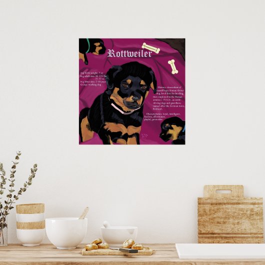 Rottweiler Pup poster (Keuken)