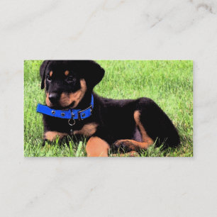 rottweiler pup visitekaartje