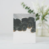 Rottweiler-Puppies Briefkaart (Staand voorkant)