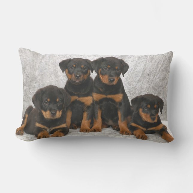 Rottweiler-puppies Kussen (Voorkant)